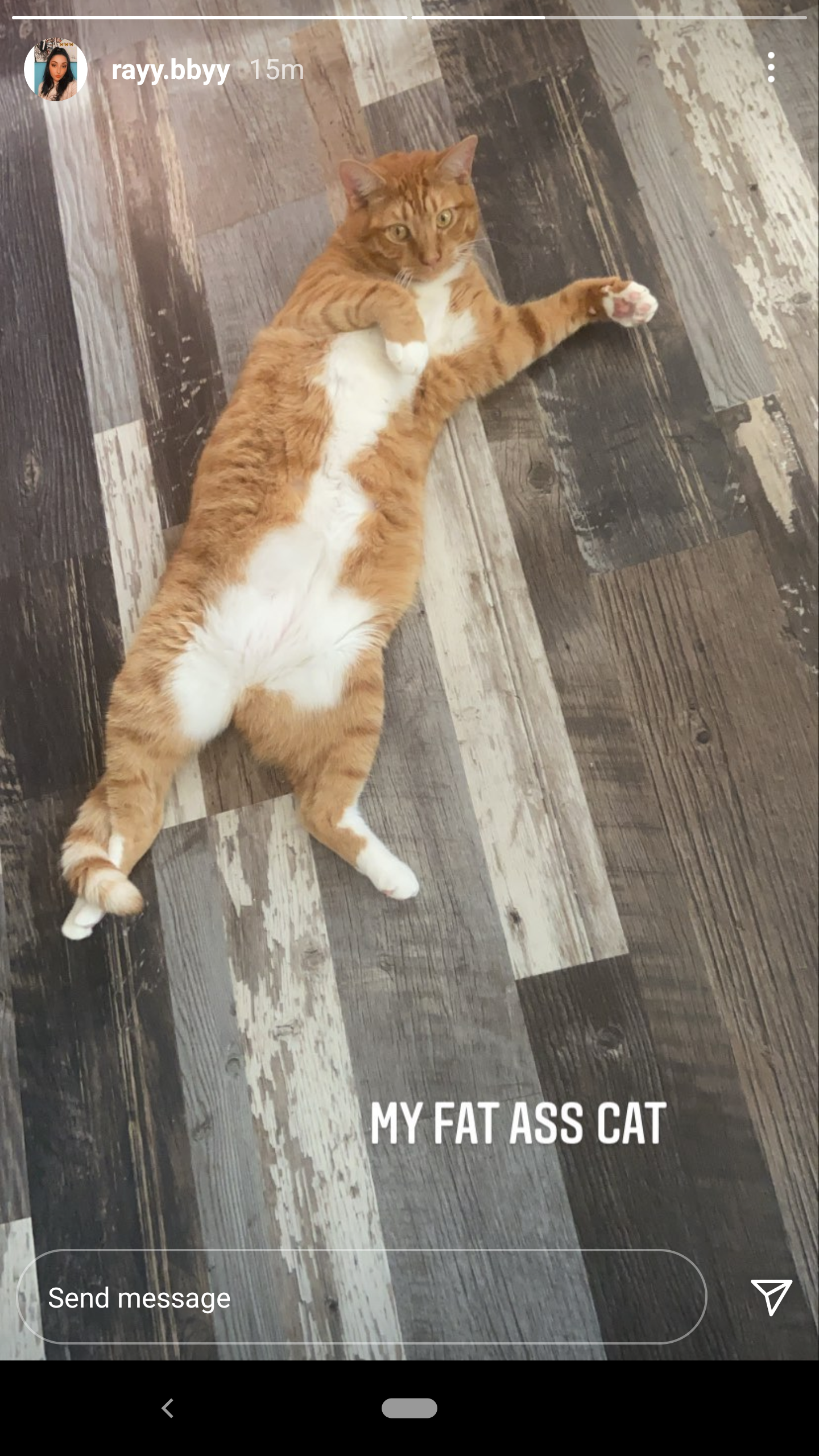 Profile hero image for Smrideatiger76