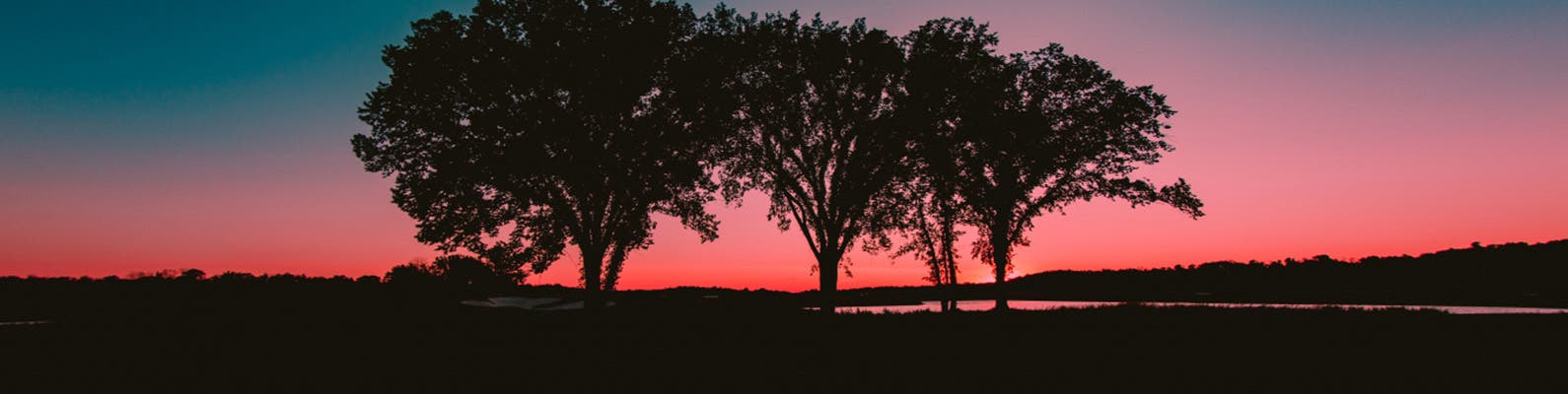 Profile hero image for Coffeeman554