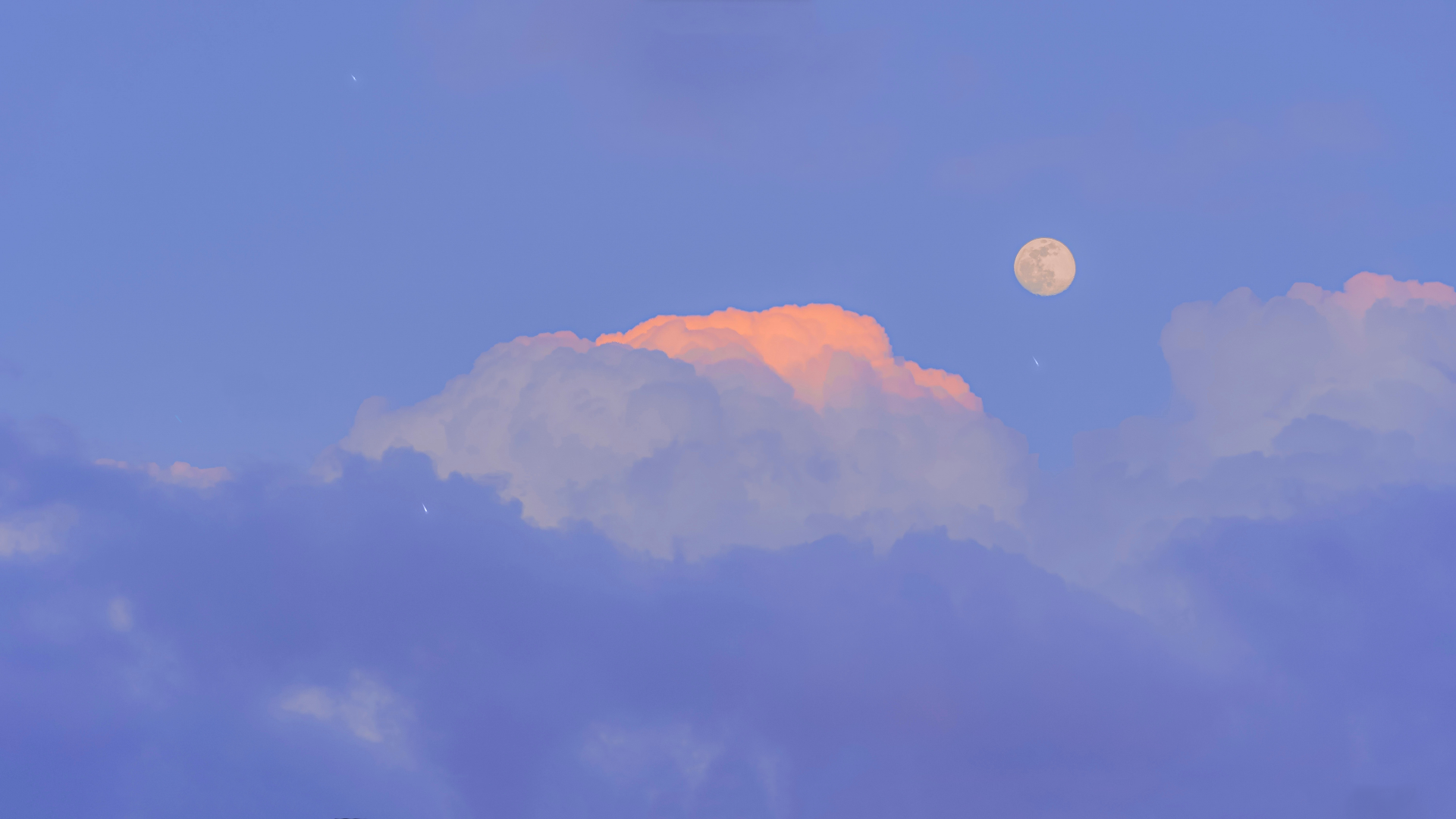 Profile hero image for ninzatimeqq