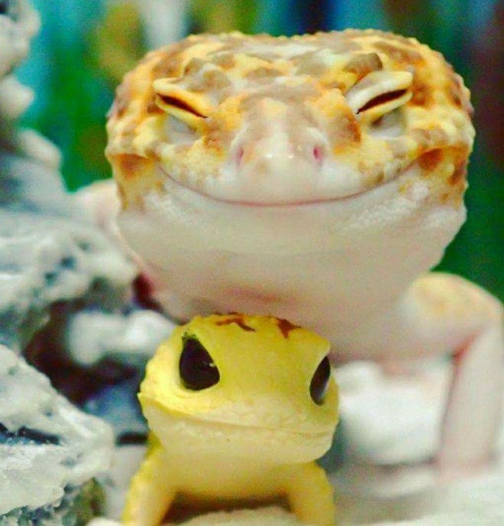 U & ME BB