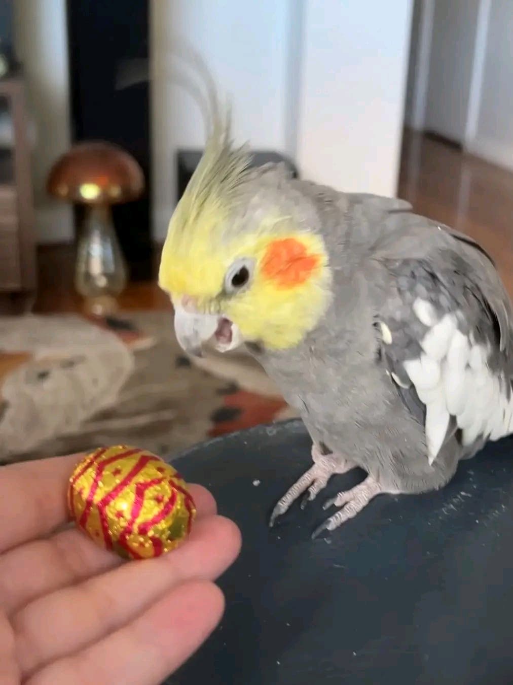 sharing the love