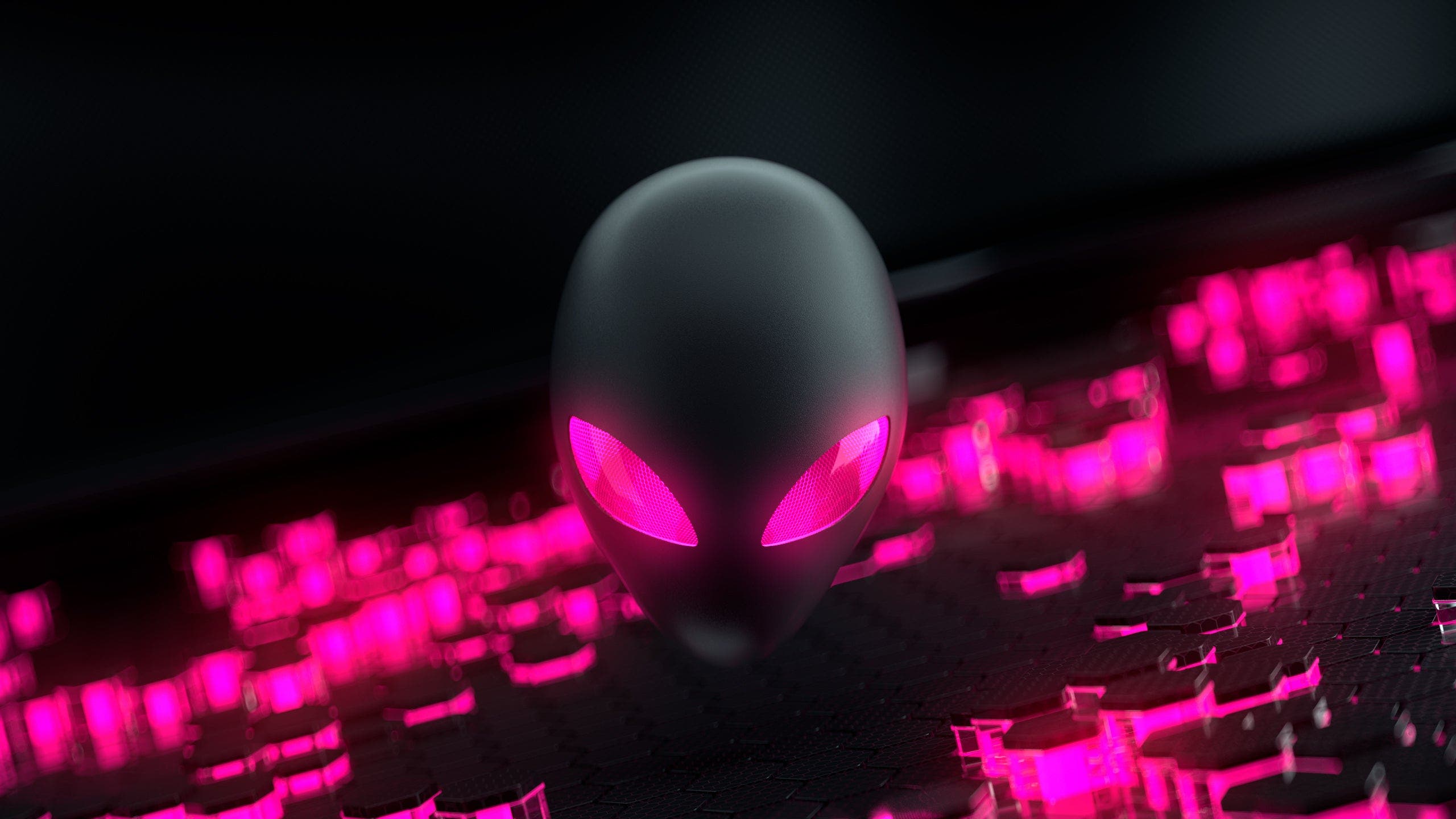 Profile hero image for animatedmax