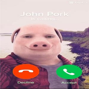 JOHN PORK