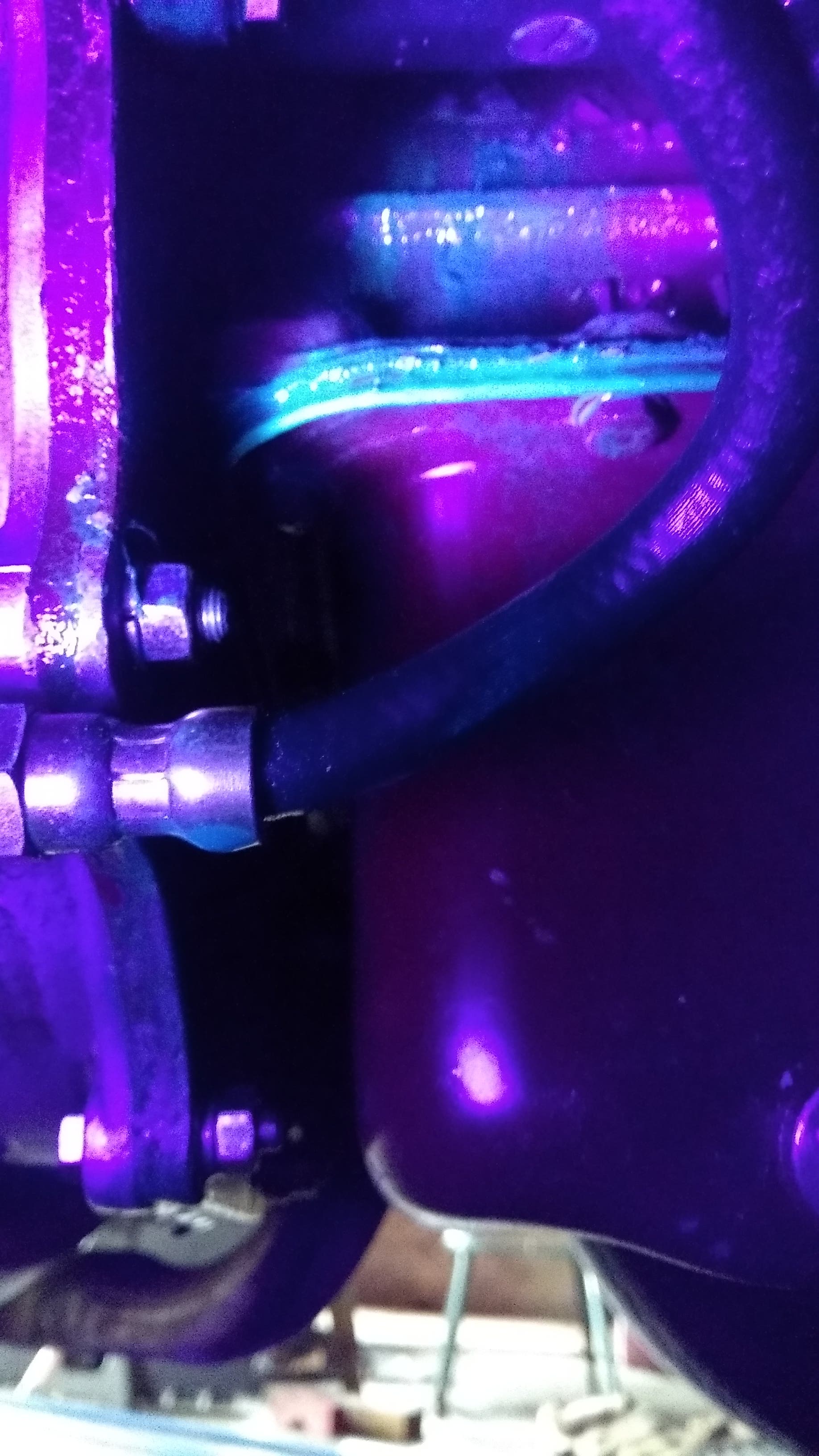 Profile hero image for spridget