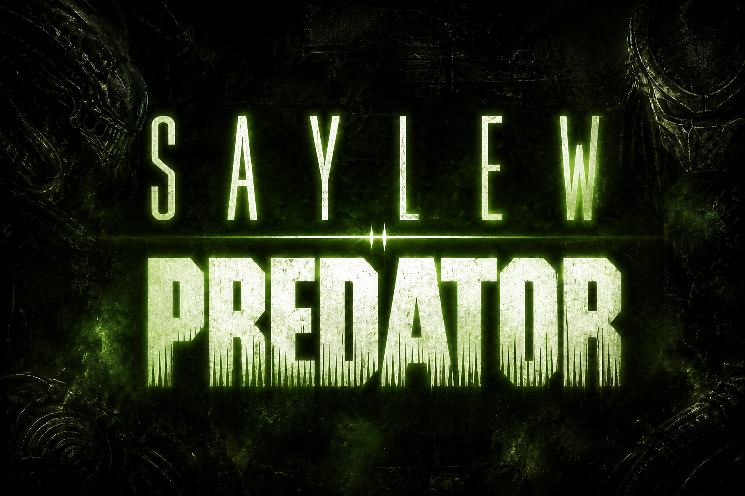 Profile hero image for Saylew