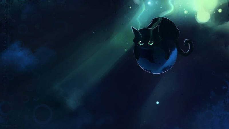 Profile hero image for Caturday Night Fever