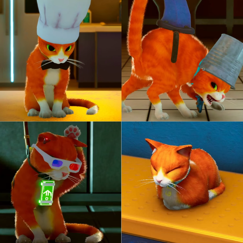 c67b56d64b79c3a7ee758b6150f57a57.png
