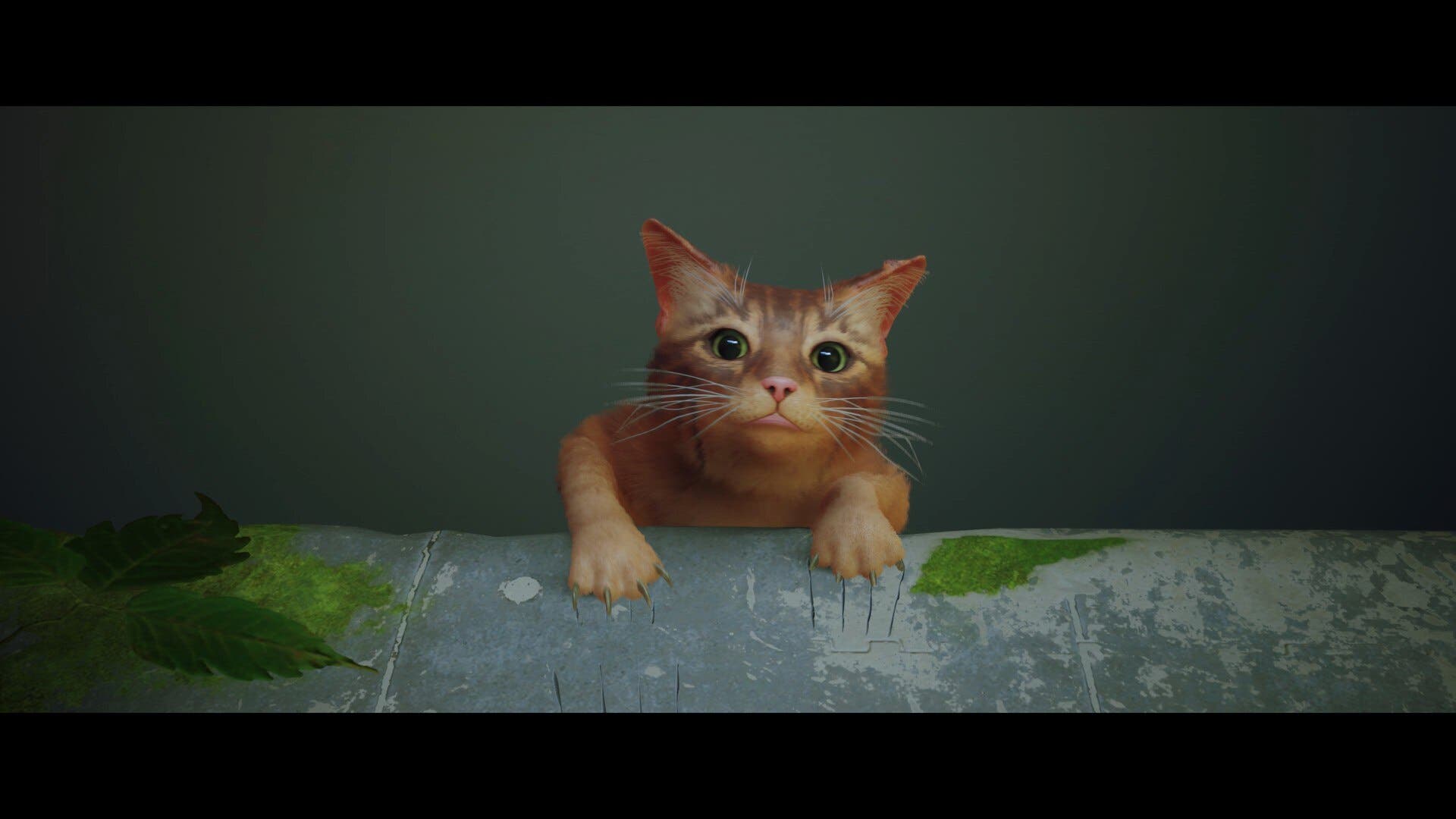 Stray screenshot