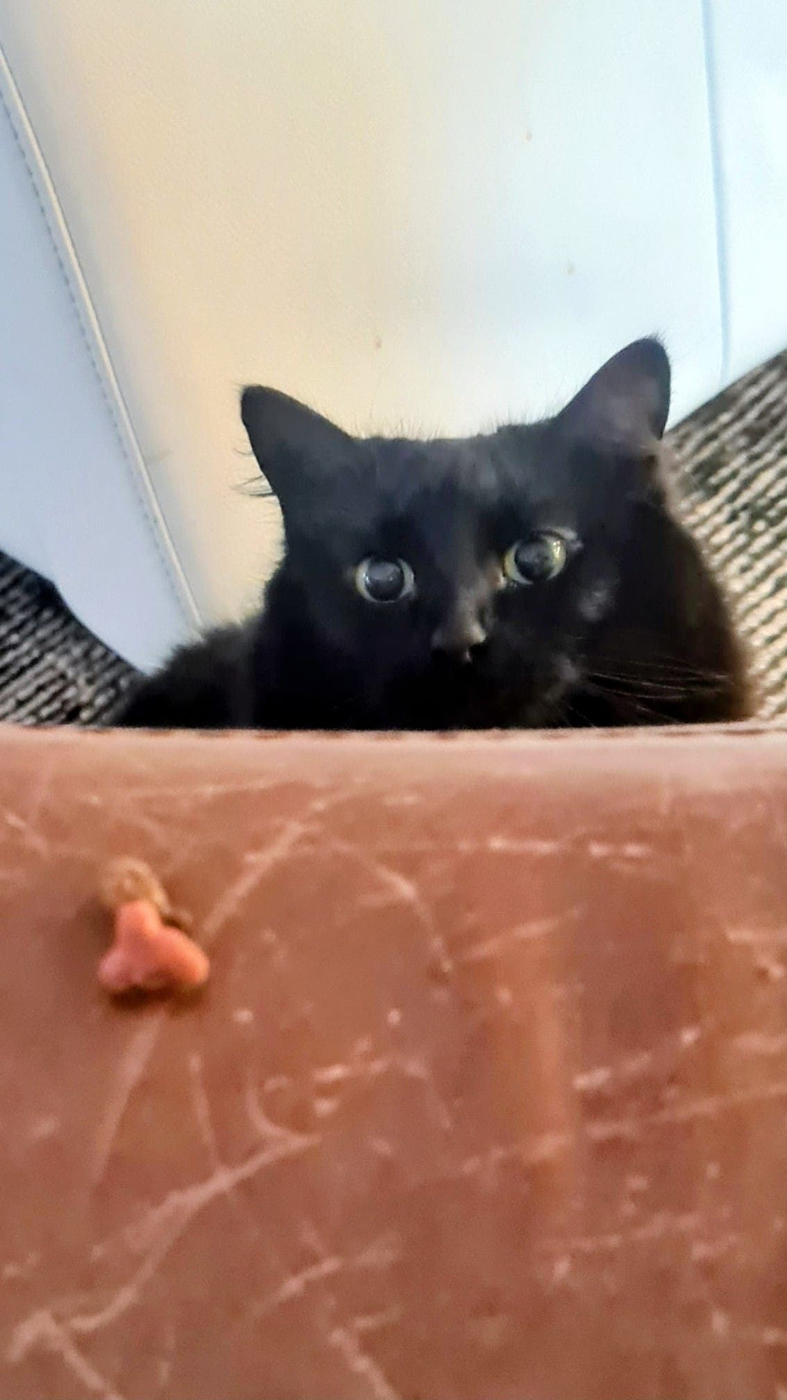 Profile hero image for Big Guns