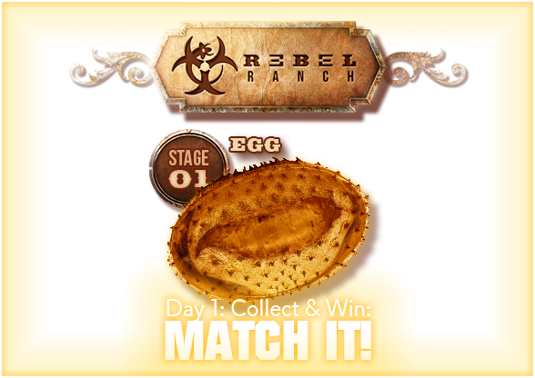 Rebel Ranch - Day 1: Match it!