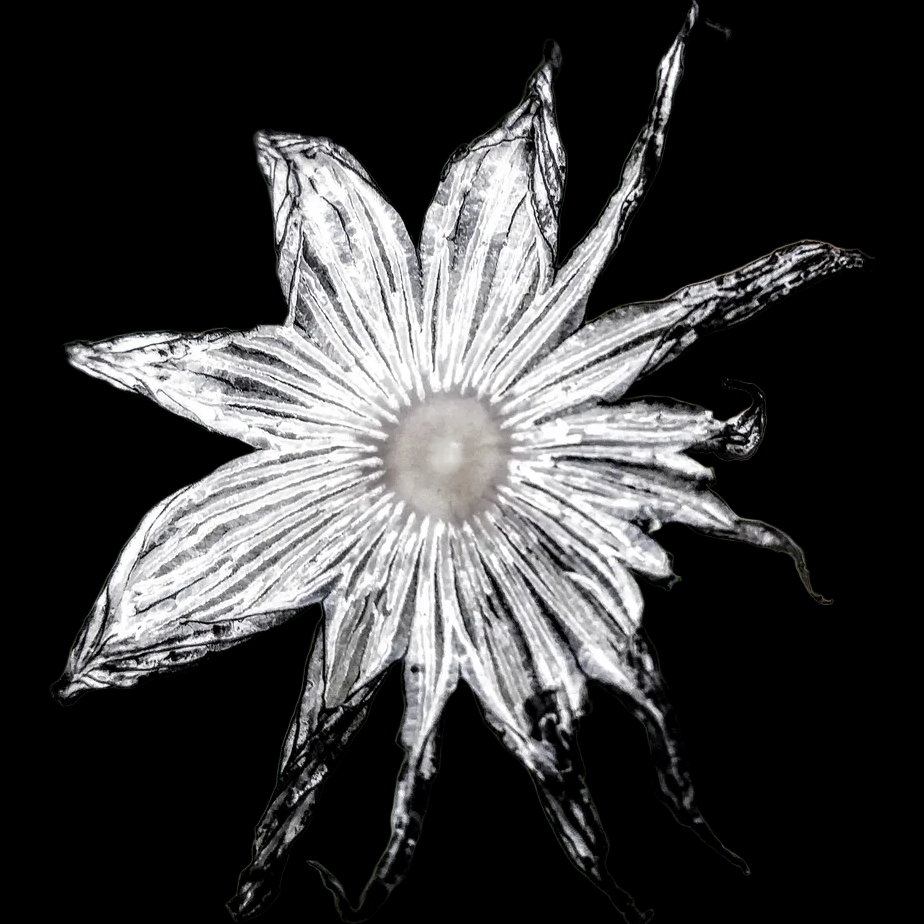 Profile hero image for ilsefit