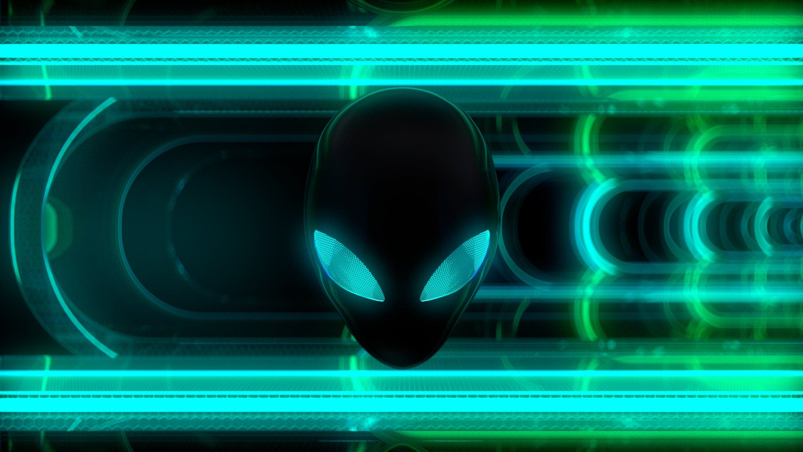 Profile hero image for animatedmax