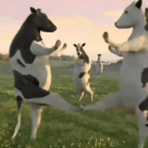 MooooooooOO!!!...
