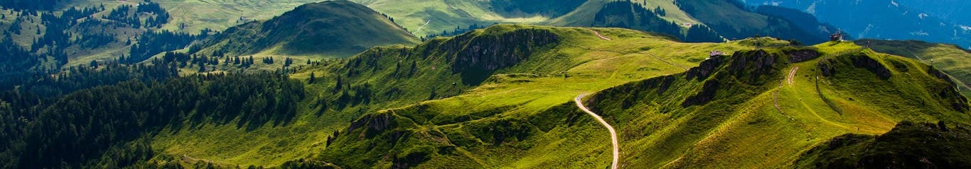 Profile hero image for windows10hacker