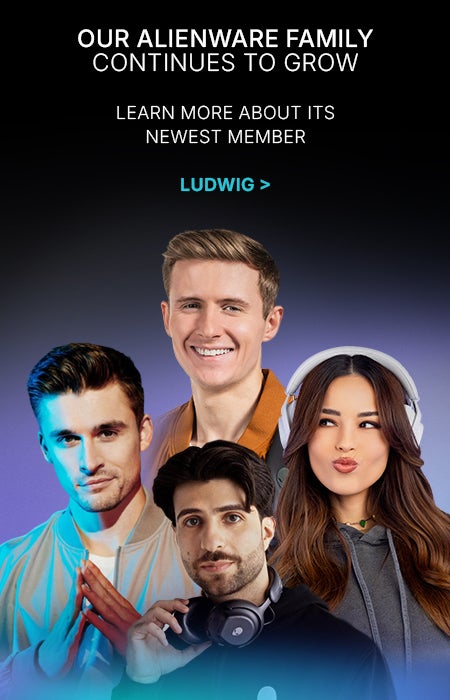 The Hive Family Grows