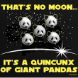 Alien Pandas Alien Pandas